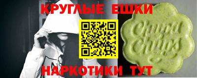 гашик Волгодонск