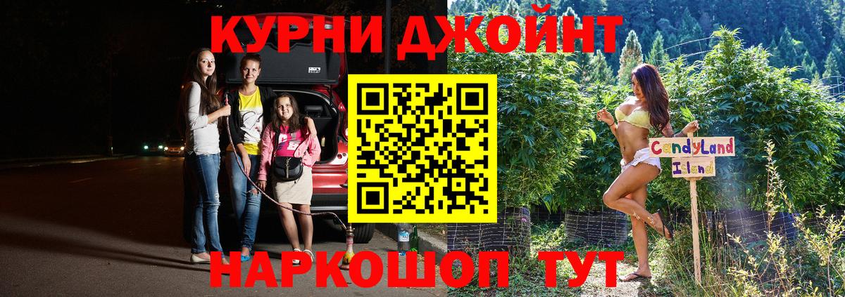 Конопля индика Маркс